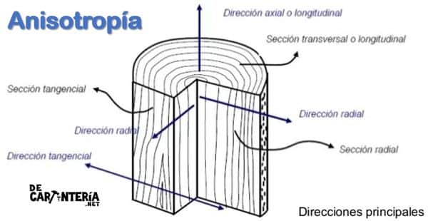 anisotropía-propiedades-de-la-madera