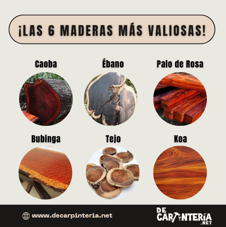 Las-6-maderas-mas-valiosas-caoba-ébano-palo-de-rosa-bubinga-tejo-Koa